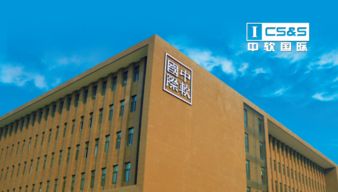 中軟卓越軟件開發(fā)學員成功入職it名企