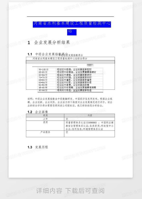 河南省水利基本建設(shè)工程質(zhì)量檢測中心站介紹企業(yè)發(fā)展分析報告word模板下載 編號lvwnoknm 熊貓辦公