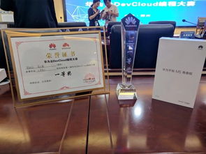 信息工程學院在華為云軟件DevCloud開發大賽中勇奪冠軍